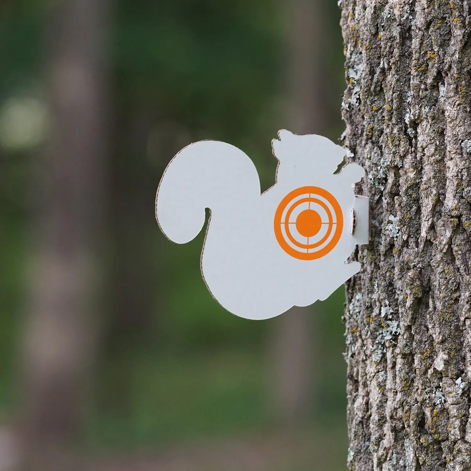 Gamo Squirrel Target Cardboard Silhouette