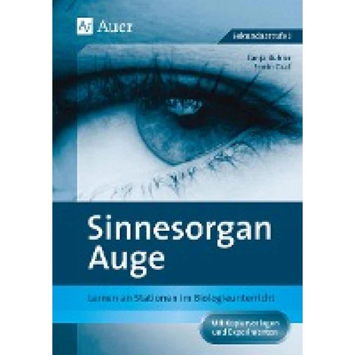 Sinnesorgan Auge