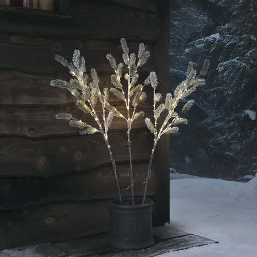 Set Of 3 Pre Lit Frosted Pine Micro Led Branches