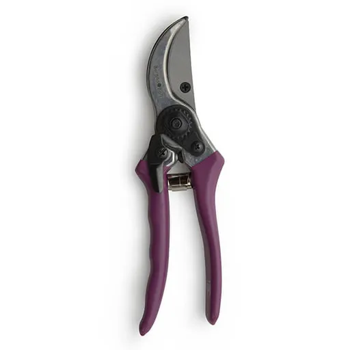 Rhs Passiflora Secateurs