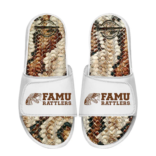 Florida A&m Rattlers Stacked Snake Gel