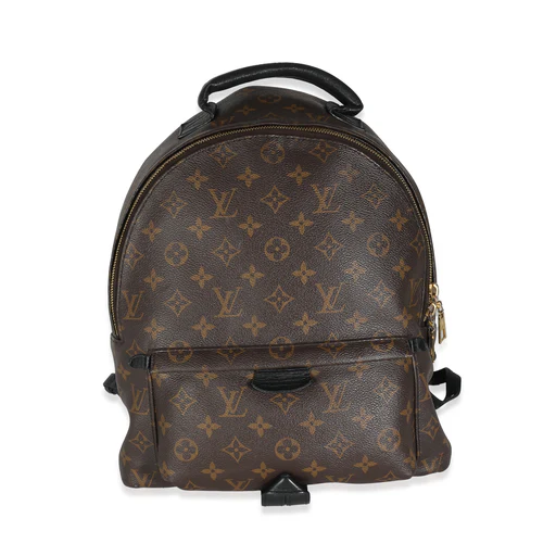 Louis Vuitton Monogram Canvas Palm Springs Pm