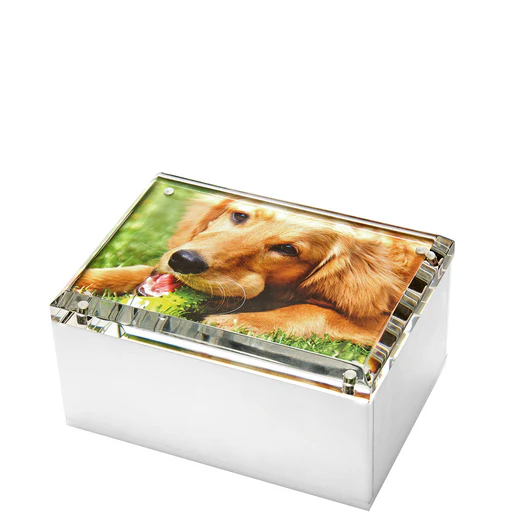 Photo Box - 5" X 7" White
