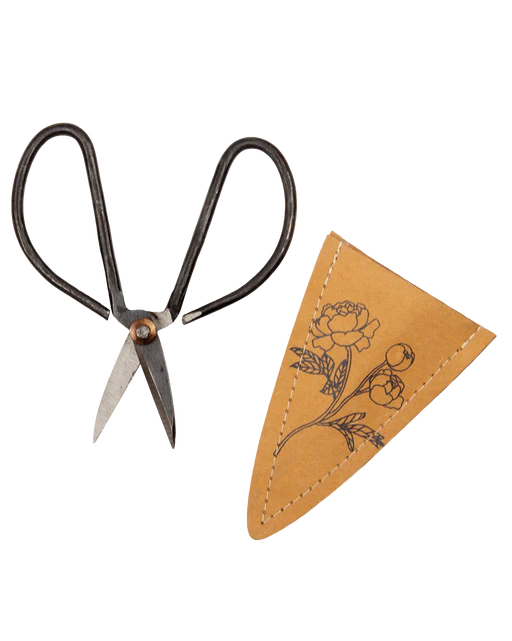 Edward Clippers Ikebana Pruning Scissors