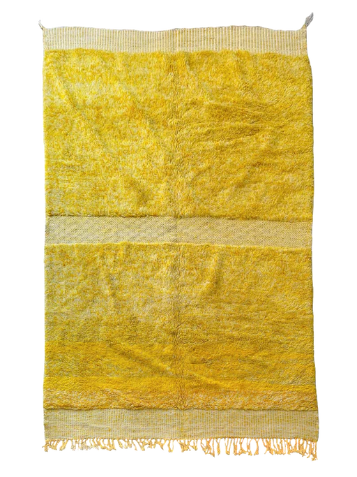 Anzal’s Sunlit Mixed Technique