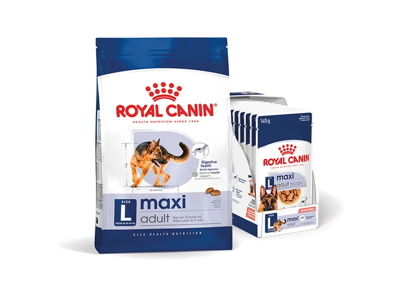 Royal Canin Maxi Breed Dog Food 15kg & Royal Canin Maxi Breed Wet Dog Food 140g X 10