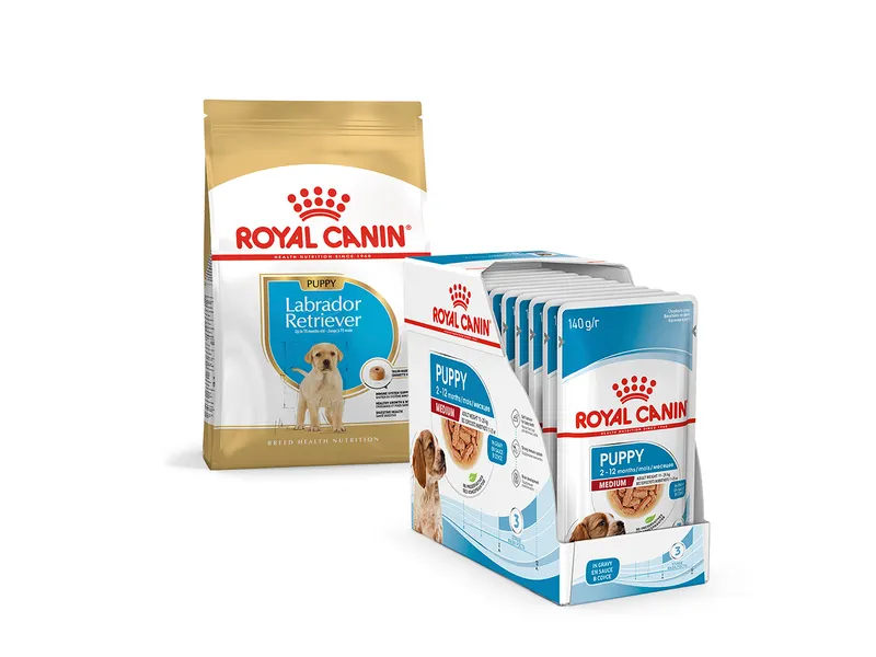 Royal Canin Labrador Puppy Food 1kg & Royal Canin Medium Breed Wet Puppy Food 140g X 10 Bundle