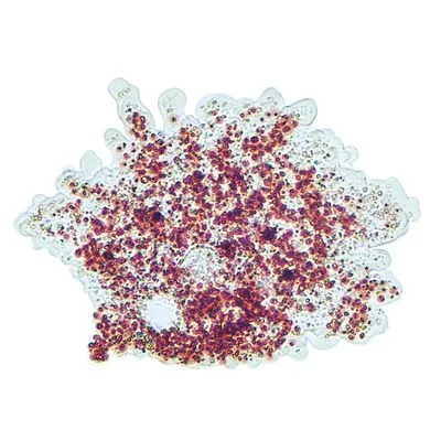 Hydra, Living, Vitachrome®