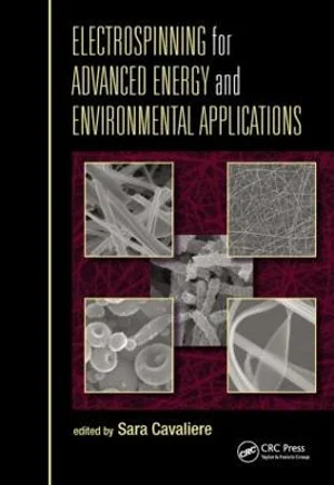 Electrospinning For Advanced Energy And Environmental Applications