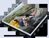Square Photo Book