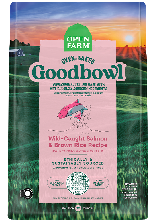 Goodbowl™ Wild-caught Salmon & Brown Rice Dog Kibble - 22 Lb