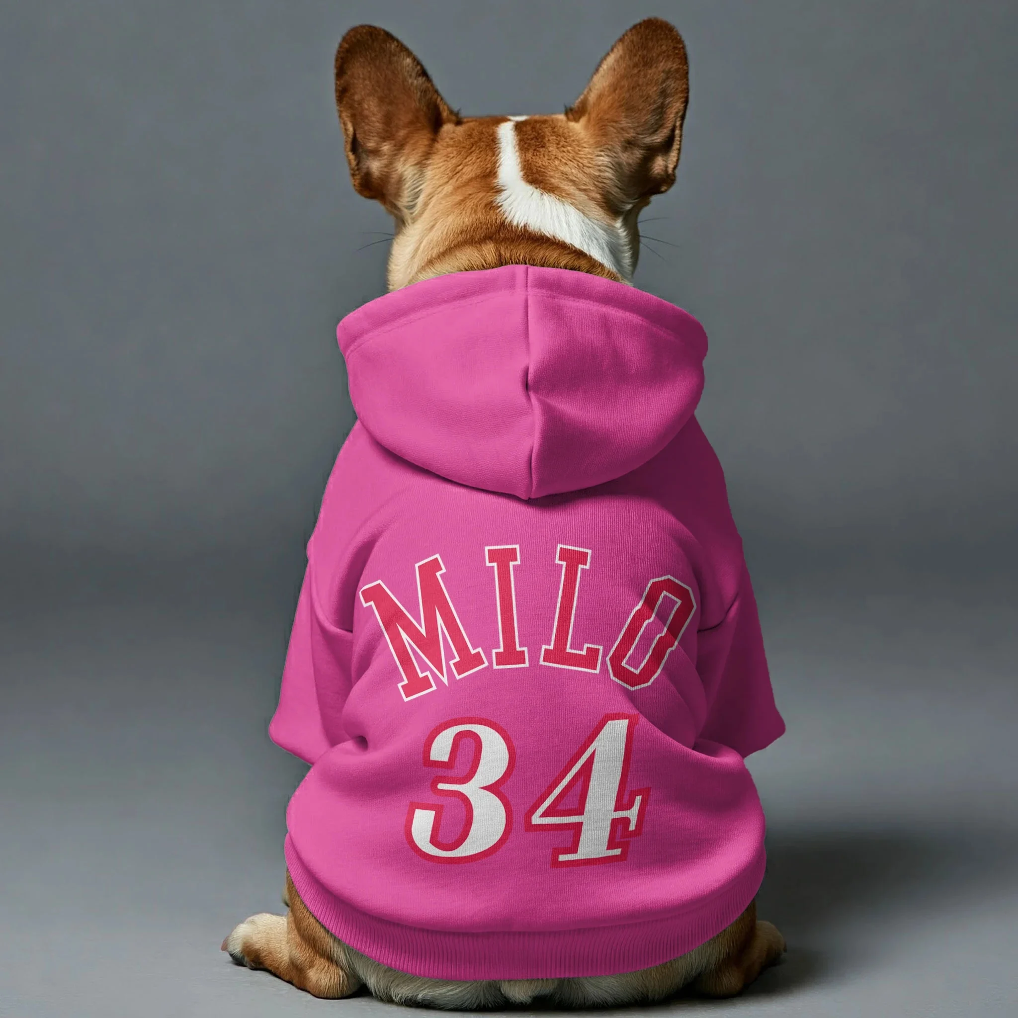 Personalized French Bulldog Hoodies With Custom Name And Number – Stylish, Cozy, And Premium 100% Cotton - Pink