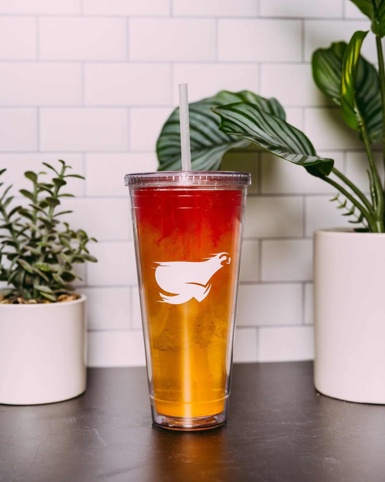 Wildfire Energy Drink Mix