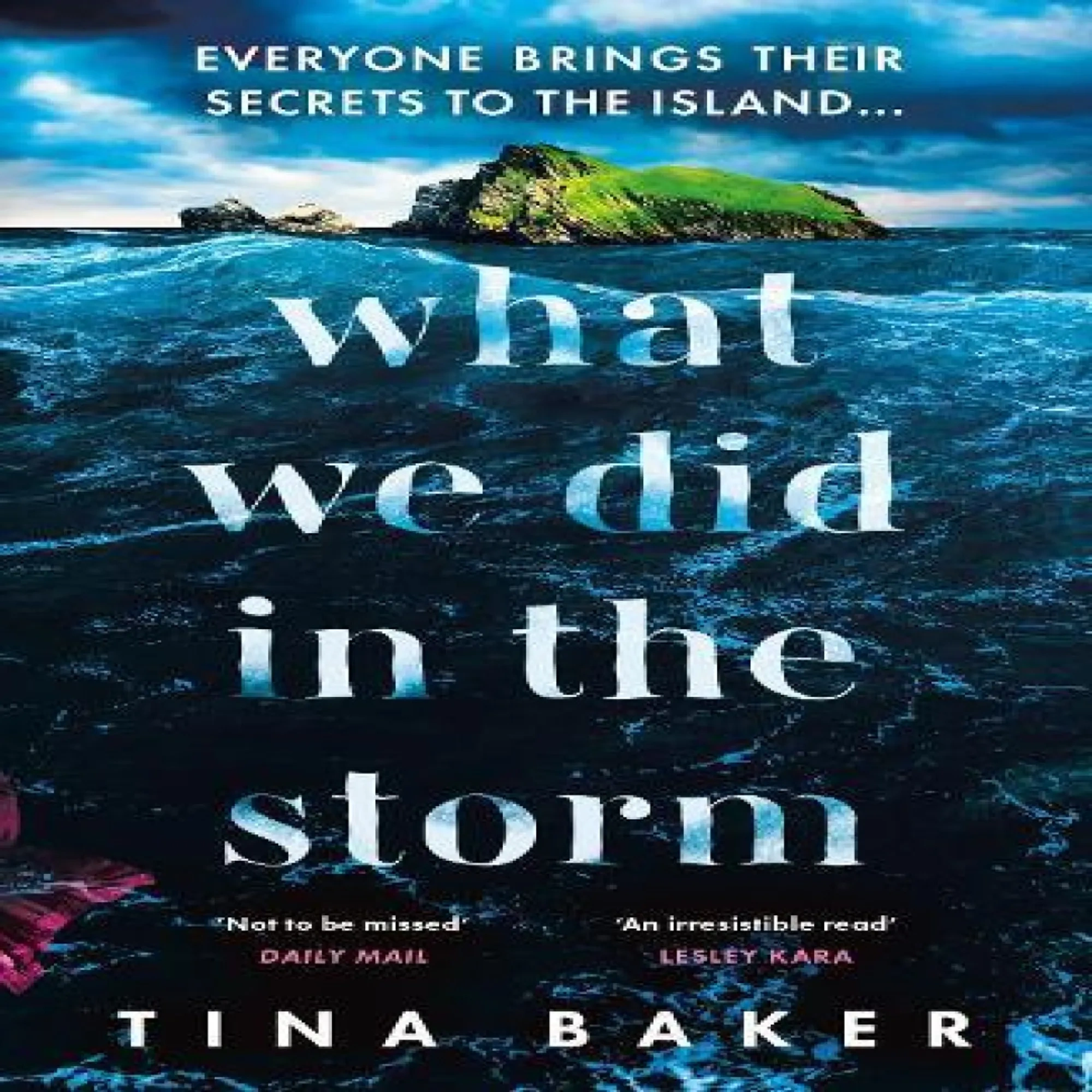 What We Did In The Storm Paperback Book