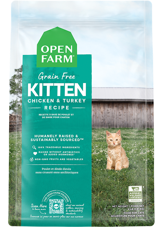 Chicken & Turkey Grain-free Kitten Kibble - 2 Lb