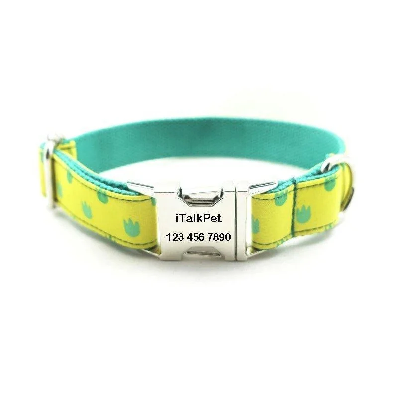 Yellow Dinosaur Footprint Personalized Dog Collar Set - Xs: 9"-12"/collar Only