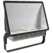 Ansell Am2led/asy/500/pc Mira2 Asymmetrical Flood 500w 6500k Pc