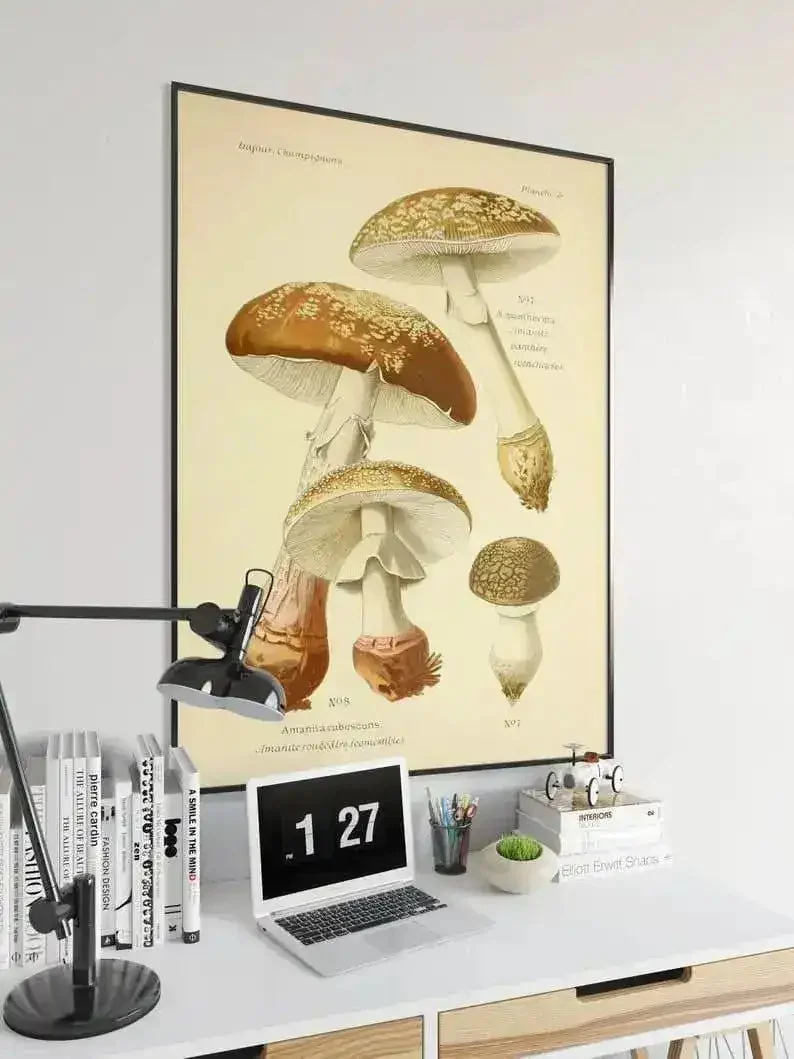 Mushroom Wall Print| Botanical Wall Art - 16x22 Inches/black Framed Print