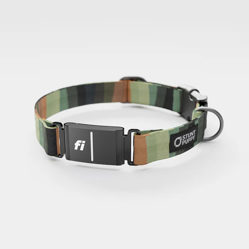 Fi Gps Included Earthtone Rainbow Everyday Collar (6 Month Subscription) - No/yes +$5