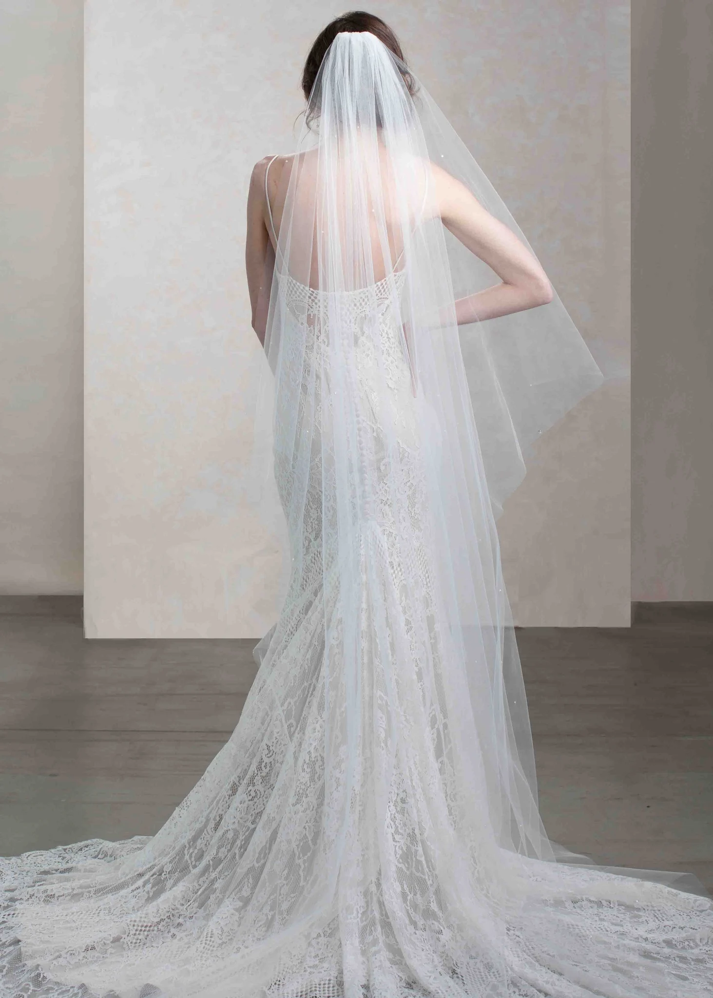 Illuminate Angel Scatter Crystal And Pearl Cathedral Veil - Sparkle Light Ivory