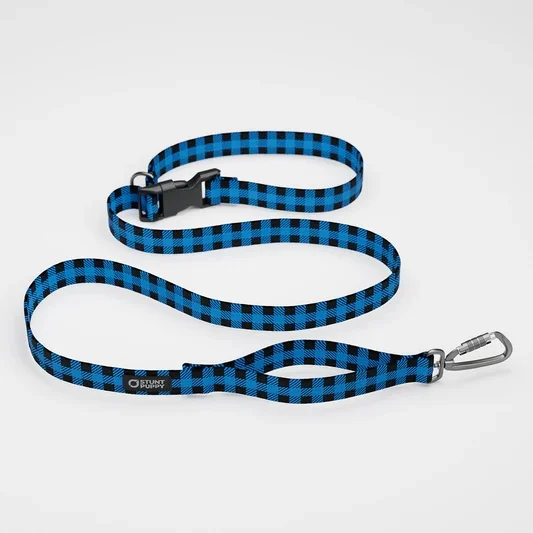 Lumberpup Brainerd Everyday Leash™