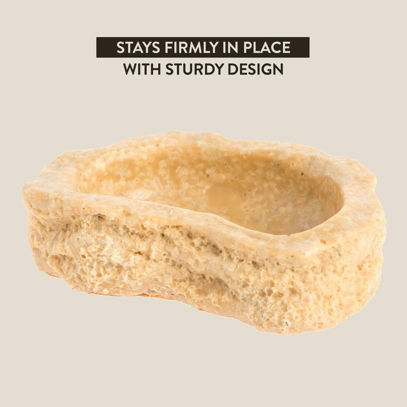 Thrive Hermit Crab Bowl
