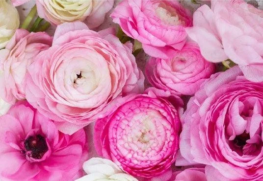 Beautiful Flower Photography Backdrop For Celebrate Mother's Day - 5(w)*3(h)ft(1.5*1m)
