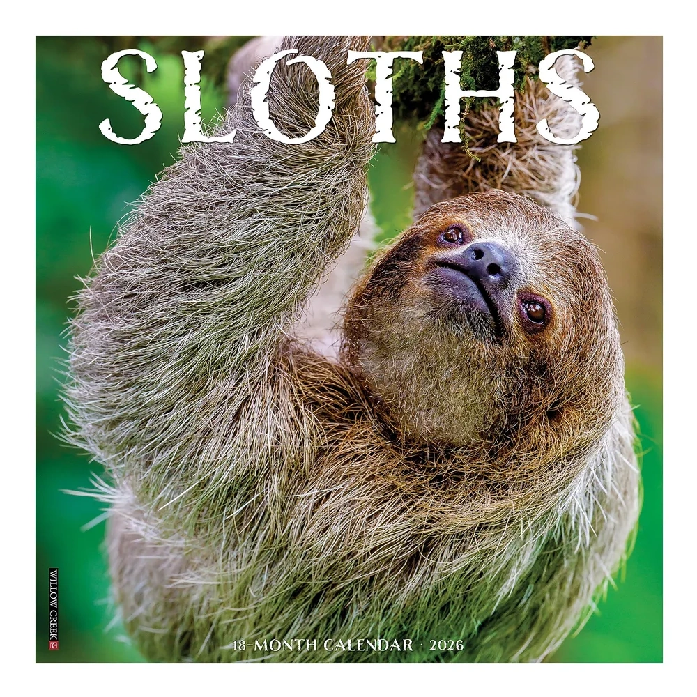 2026 Willow Creek Sloths 12" X 12" Monthly Wall Calendar