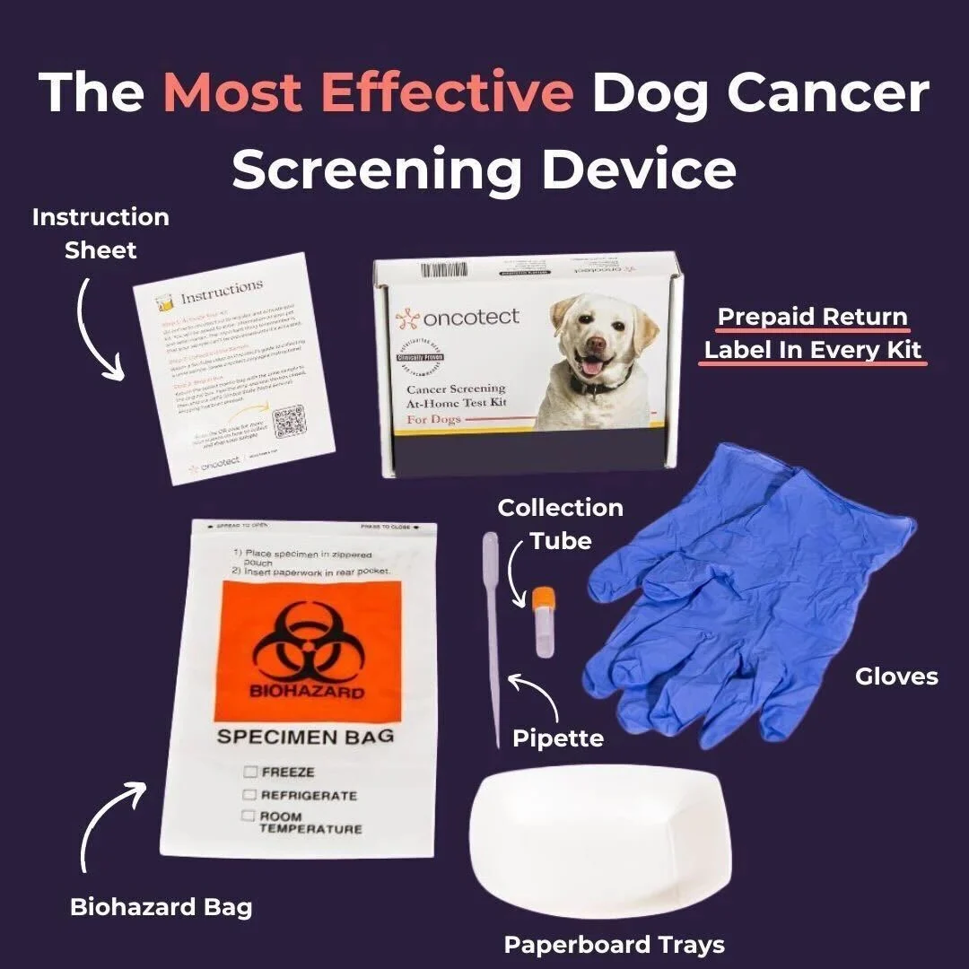 Cancer Screening Test For Dogs - Essential