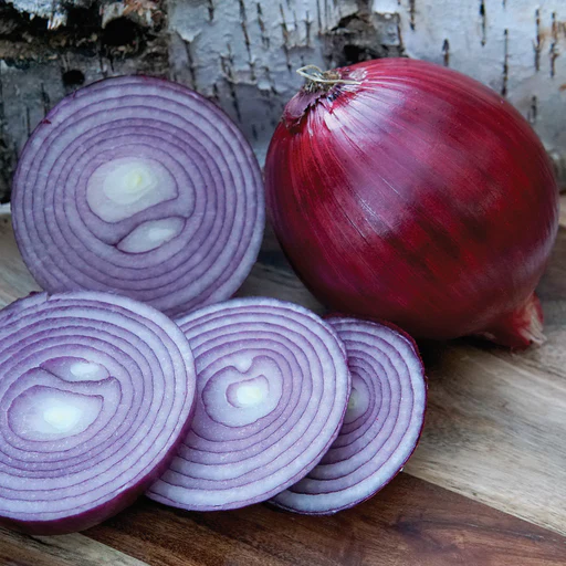 Red Mountain Onion Seeds (15,000 Seeds)