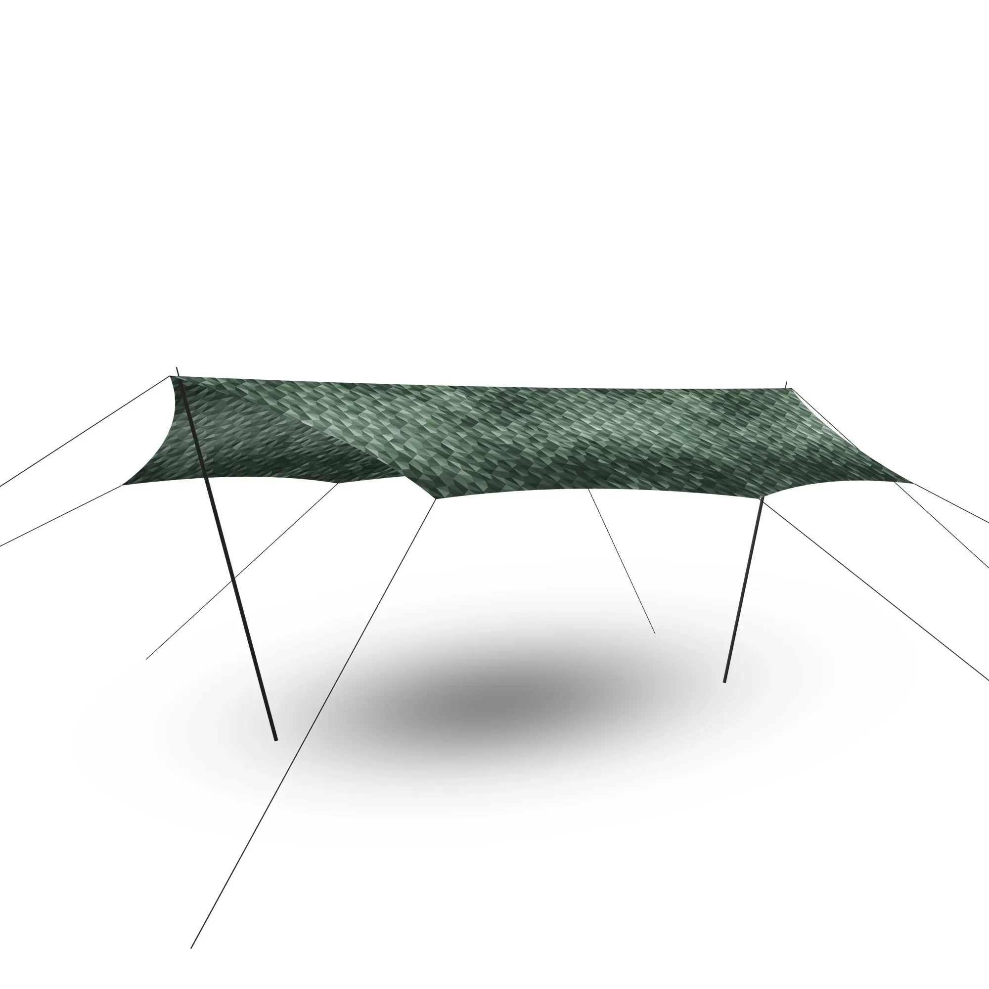 Dawn L Tarp, Cairo Camo
