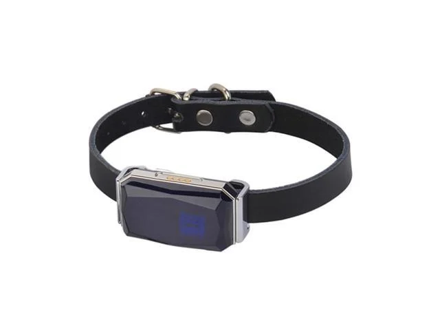G12 Gps Location Tracker Wearable Smart Collar Pet Tracking Locator Waterproof Ip67 Anti-lost Record Multifunctional For Cat Dog