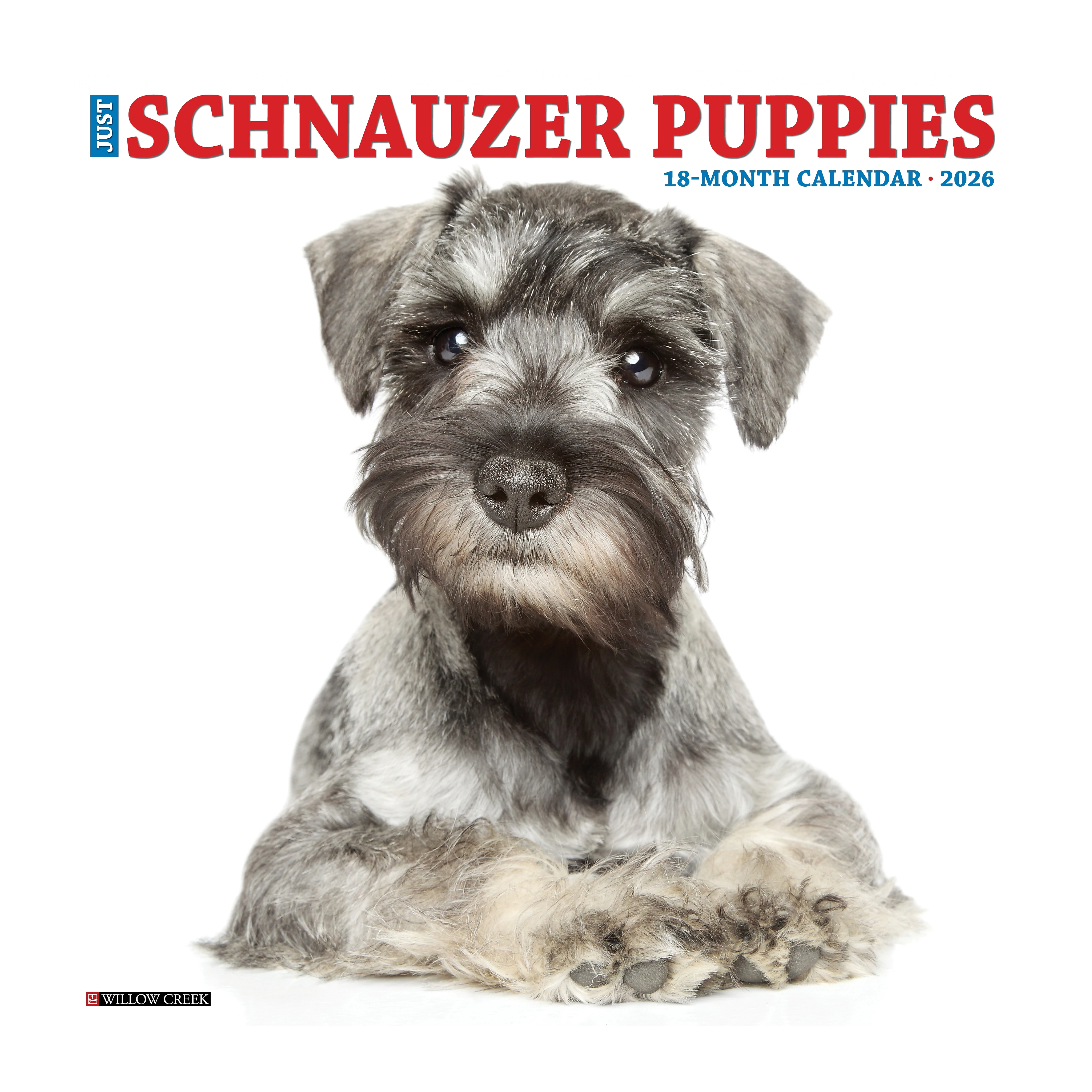 2026 Willow Creek Schnauzer Puppies 12" X 12" Monthly Wall Calendar