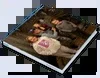 Square Photo Book