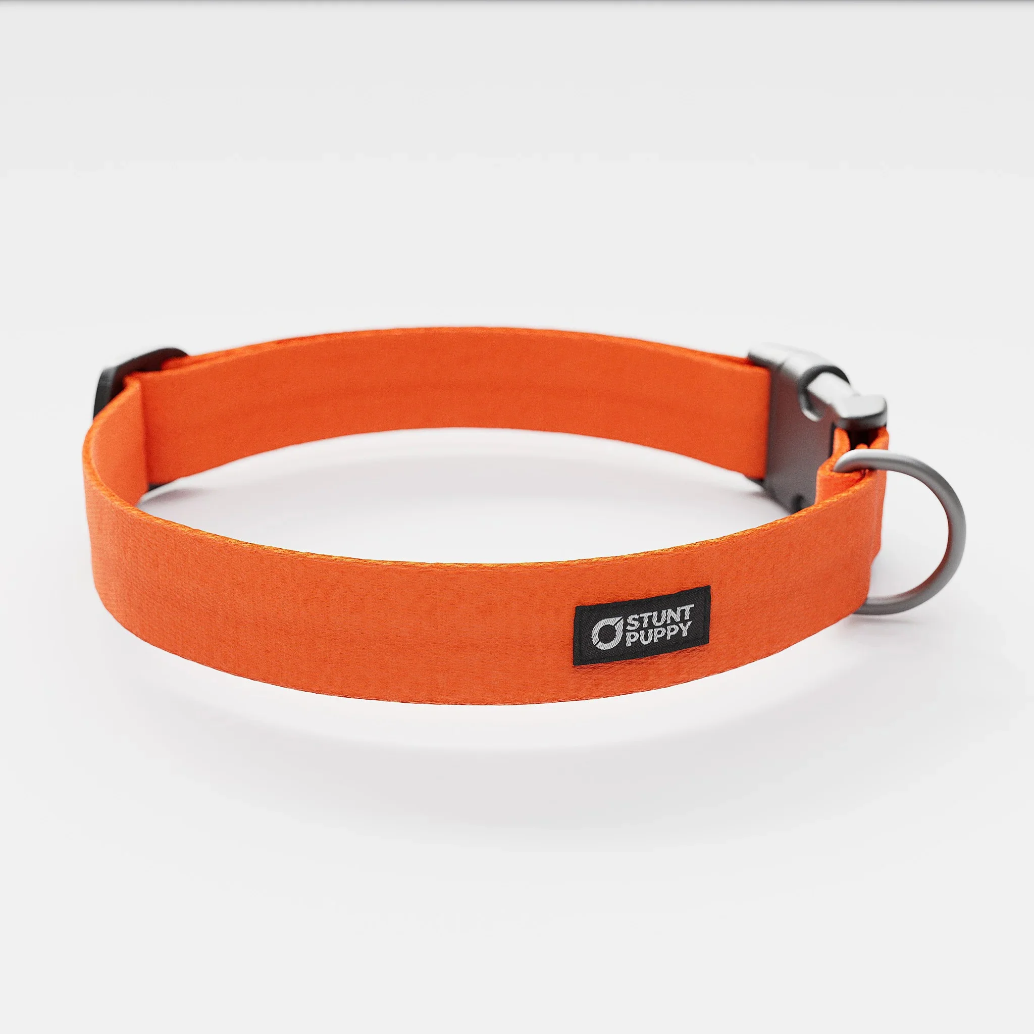 Clementine Monochrome Everyday Collar - No/no