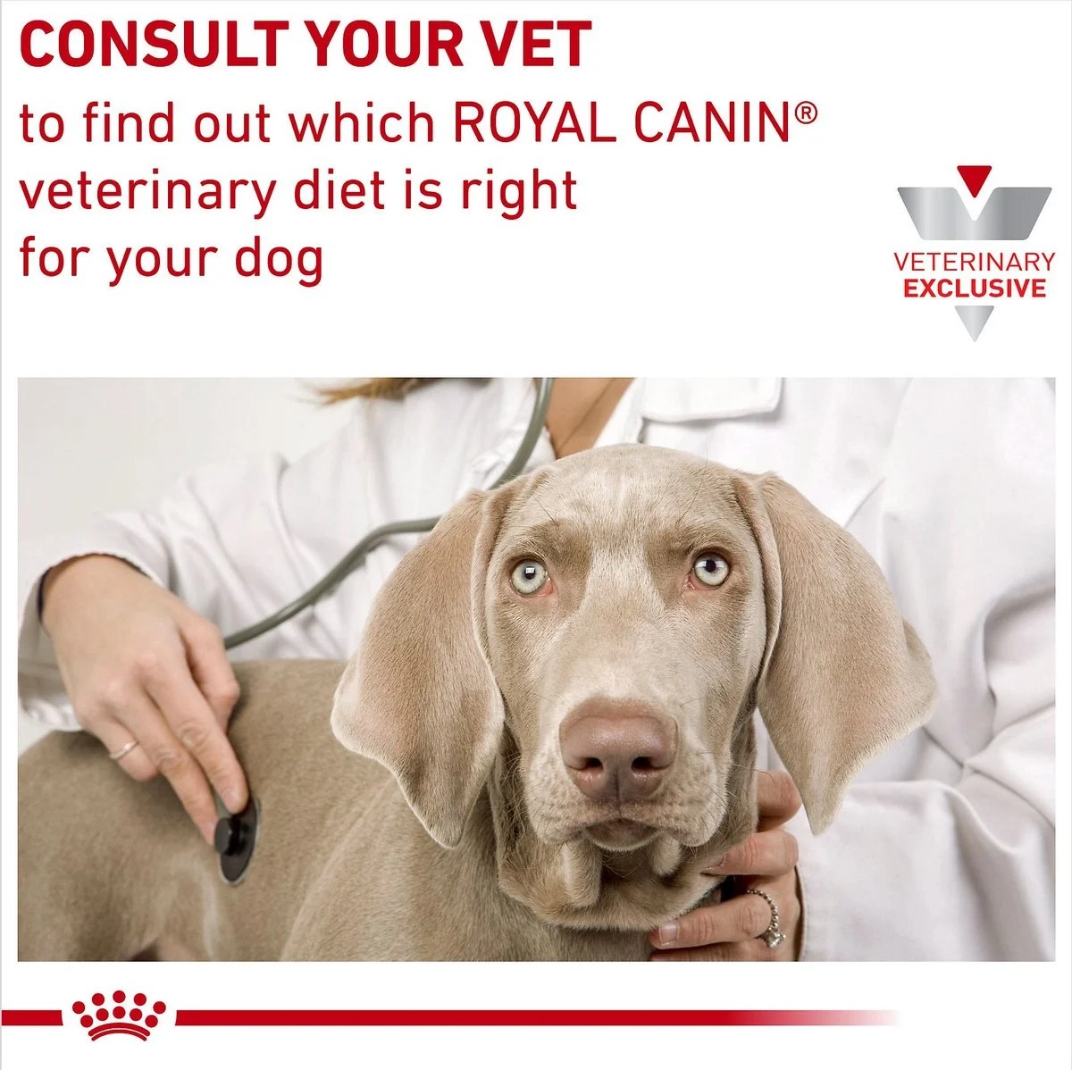 Hydrolyzed Protein Dry Puppy Dog Food