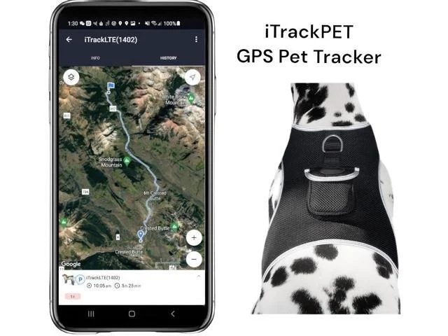 Realtime Pet Tracking Gps Detailed Location Position Tracker Surveillance System Size:l