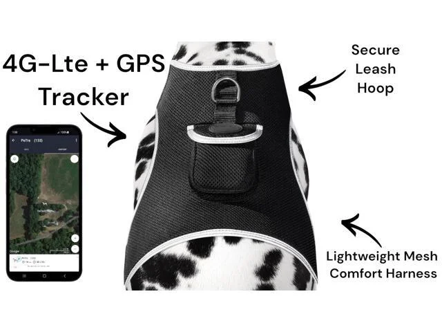 All New Realtime Gps Tracking For Pets Waterproof Rechargeable Tracker Size:xl