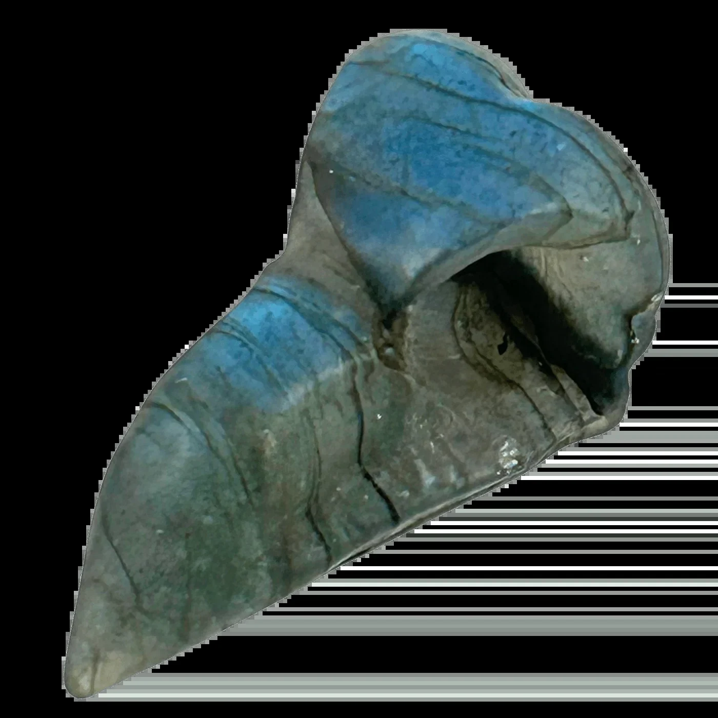 Vulture Head Carving #386