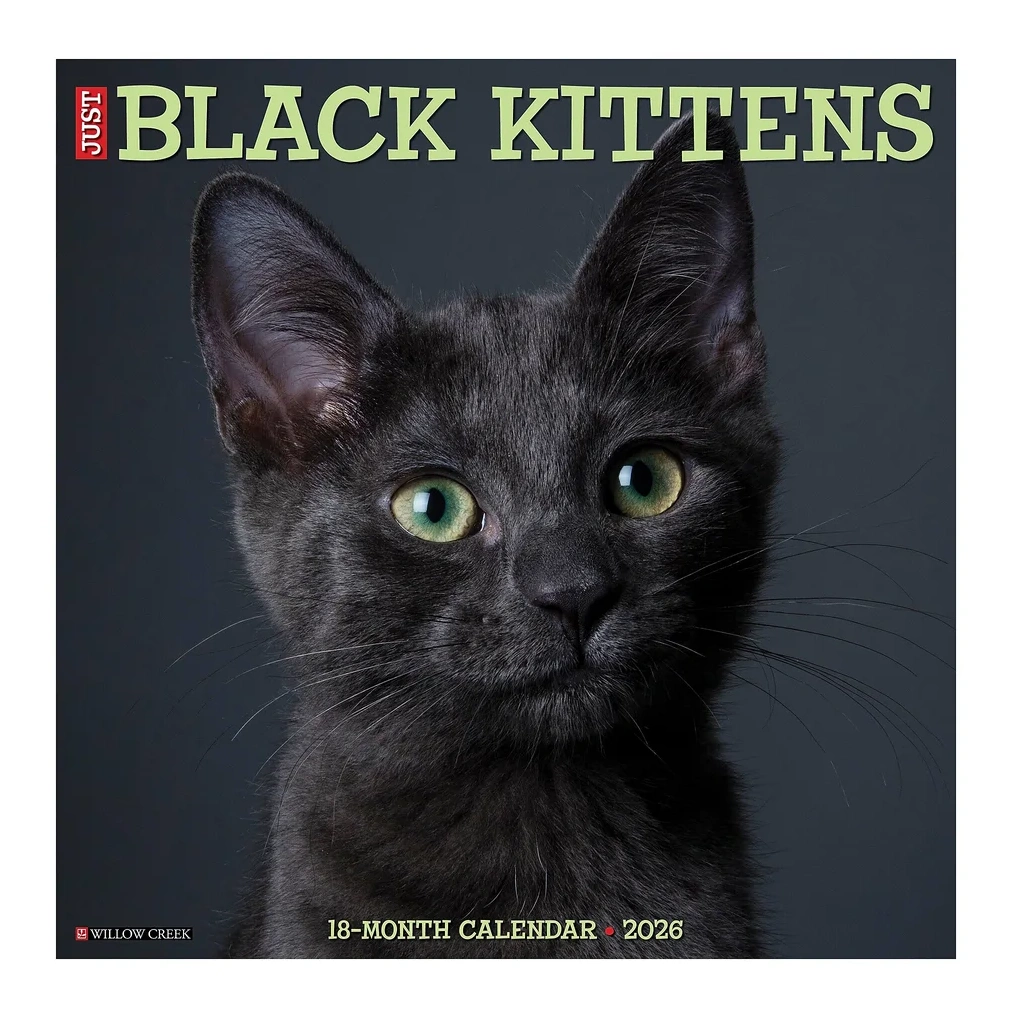 2026 Willow Creek Black Kittens 12" X 12" Monthly Wall Calendar (50293)