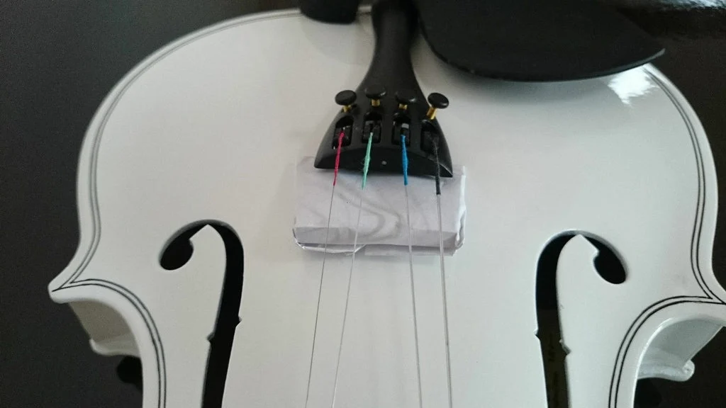 Taille Réelle Naturel Acoustique Violon Avec Étui Nœud Rosin Couleur Blanche