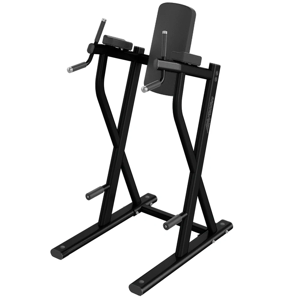 Life Fitness Dip/leg Raise - Charcoal Frame / Black Upholstery