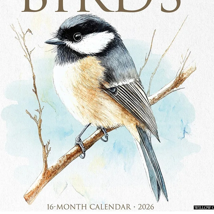 2026 Willow Creek The Art Of Birds 12 X 12 Monthly Wall Calendar