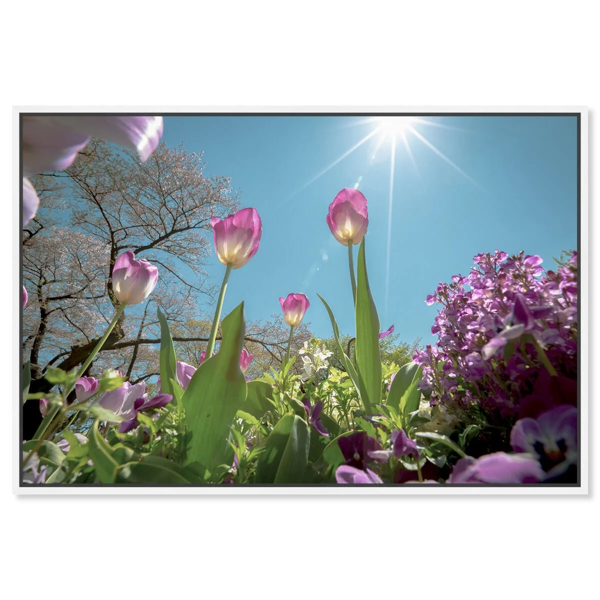 Curro Cardenal - Garden Full Of Flowers - 15x10/wfl