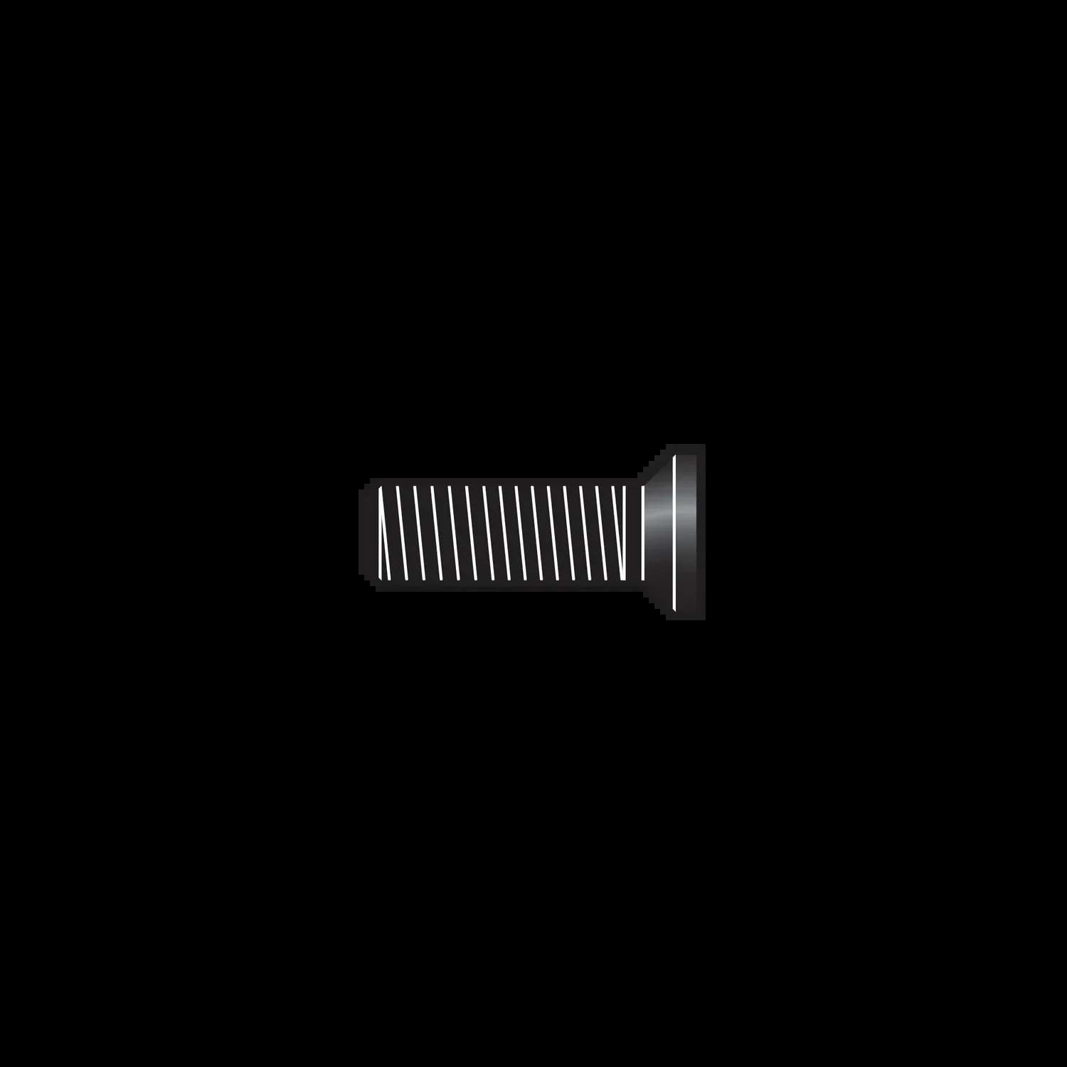 C16/10 Hex Screw