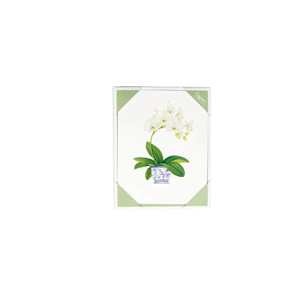 Potted Orchids Boxed Note Cards - 10 Cards And 10 Envelopes Per Package