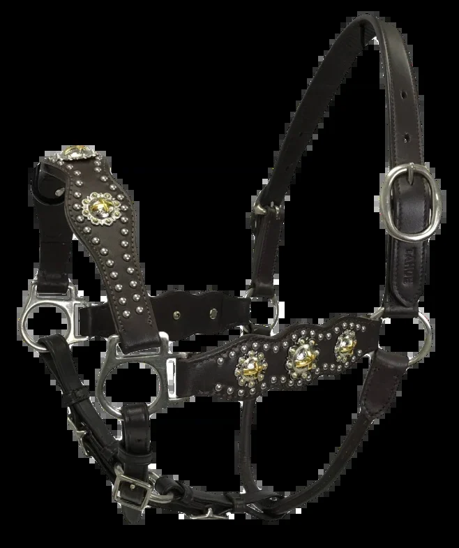 Cross Concho Halter With Spots And Adjustable Nose And Chin Straps -usa Leather