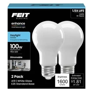Feit Electric 2-count 100-watt Equivalent A21 Daylight Enhance Filament Led