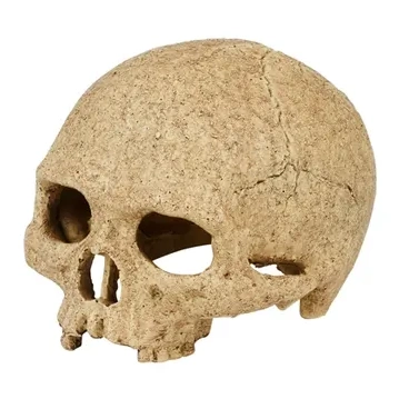 Exo Terra Primate Skull Reptile Ornament L