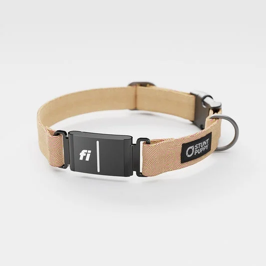 Fi-ready Petri Peach Everyday Collar
